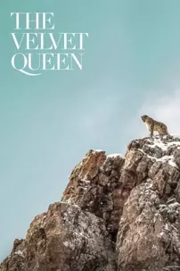 watch-The Velvet Queen