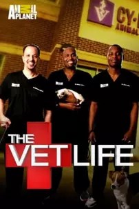 watch-The Vet Life