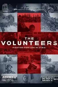 watch-The Volunteers
