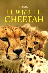 watch-The Way of the Cheetah