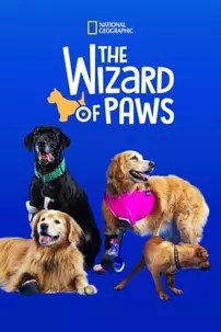 watch-The Wizard of Paws