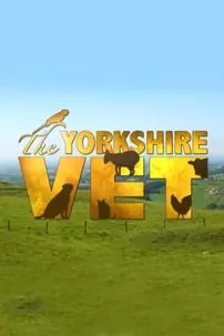 watch-The Yorkshire Vet