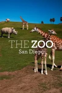 watch-The Zoo: San Diego