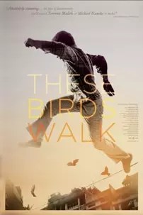 watch-These Birds Walk