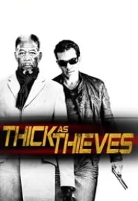 watch-Thick as Thieves