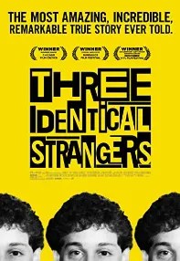 watch-Three Identical Strangers