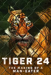 watch-Tiger 24