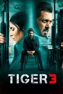 watch-Tiger 3