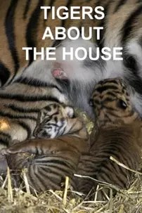 watch-Tigers About the House