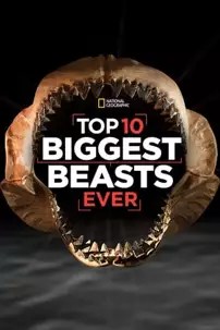 watch-Top 10 Biggest Beasts Ever