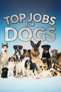watch-Top Jobs for Dogs