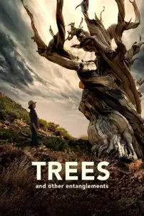 watch-Trees, and Other Entanglements