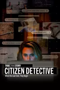 watch-True Crime Story: Citizen Detective