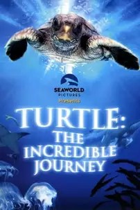 watch-Turtle: The Incredible Journey