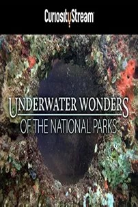 watch-Underwater Wonders Of The National Parks