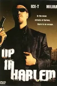 watch-Up in Harlem