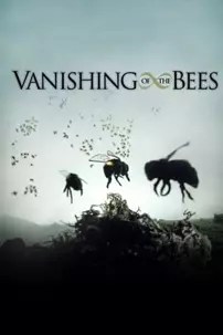 watch-Vanishing of the Bees