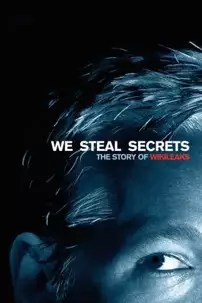 watch-We Steal Secrets