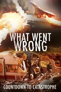 watch-What Went Wrong: Countdown To Catastrophe