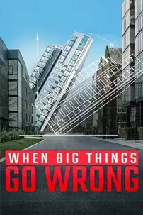 watch-When Big Things Go Wrong