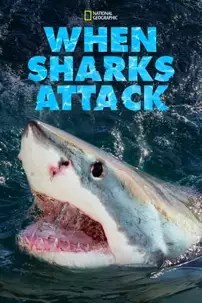 watch-When Sharks Attack