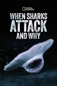 watch-When Sharks Attack… and Why