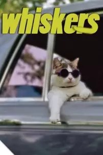 watch-Whiskers