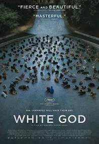 watch-White God