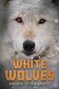 watch-White Wolves: Ghosts of the Arctic