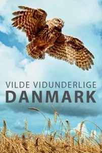 watch-Wild and Wonderful Denmark