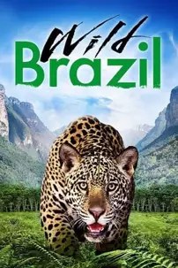 watch-Wild Brazil