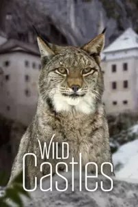 watch-Wild Castles