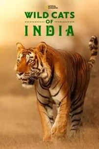 watch-Wild Cats of India