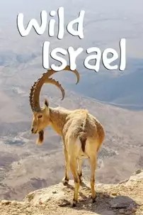 watch-Wild Israel