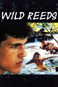 watch-Wild Reeds