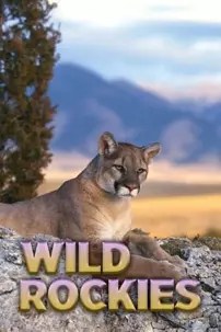 watch-Wild Rockies