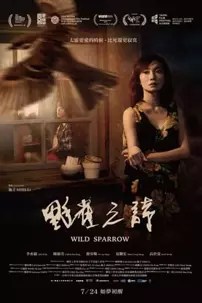 watch-Wild Sparrow