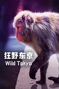 watch-Wild Tokyo