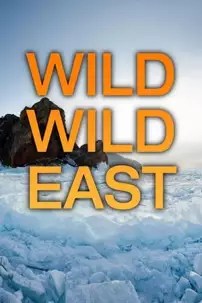 watch-Wild Wild East