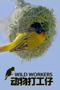 watch-Wild Workers