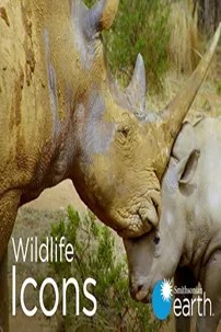 watch-Wildlife Icons