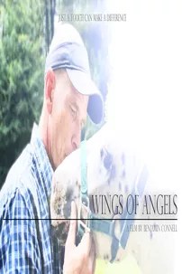 watch-Wings of Angels