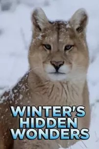 watch-Winter’s Hidden Wonders