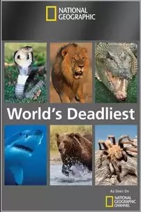 watch-World’s Deadliest