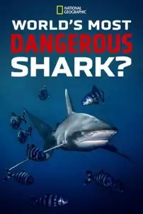 watch-World’s Most Dangerous Shark?