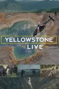 watch-Yellowstone Live