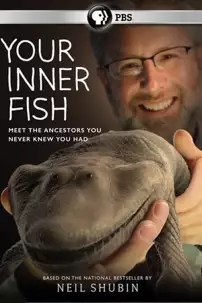 watch-Your Inner Fish