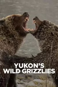 watch-Yukon’s Wild Grizzlies